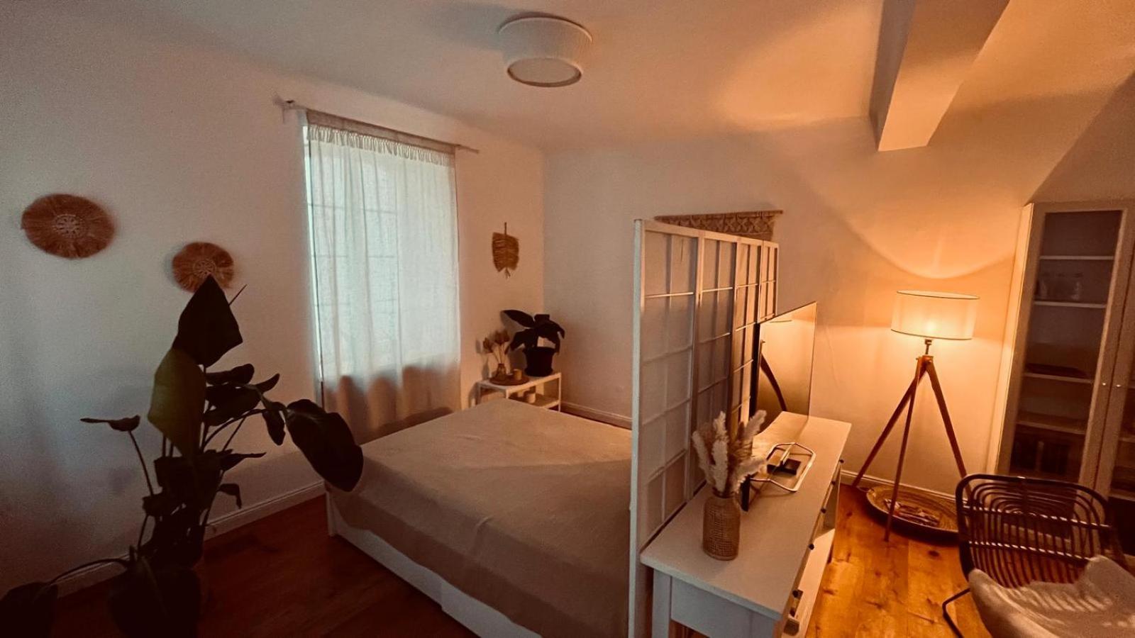 Apartment Am Schloss - Charme Saarbrucken Bagian luar foto